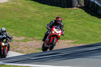 Oulton-Park-20th-March-2020;PJ-Motorsport-Photography-2020;anglesey;brands-hatch;cadwell-park;croft;donington-park;enduro-digital-images;event-digital-images;eventdigitalimages;mallory;no-limits;oulton-park;peter-wileman-photography;racing-digital-images;silverstone;snetterton;trackday-digital-images;trackday-photos;vmcc-banbury-run;welsh-2-day-enduro